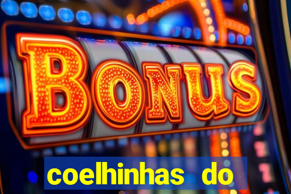 coelhinhas do brasil site